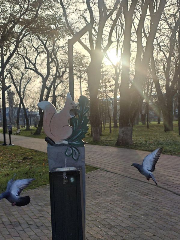 ������ � ������� �� 13 �������: