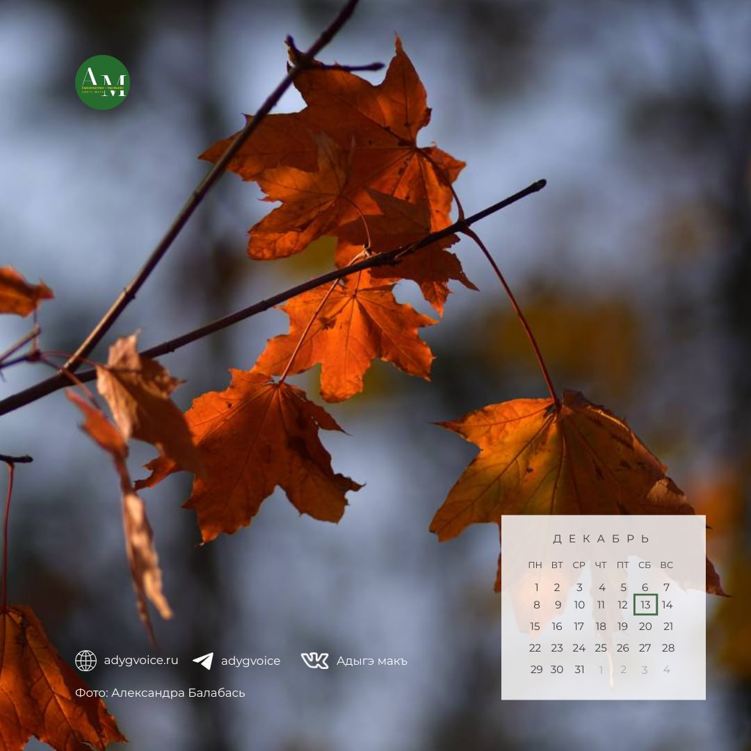 Доброе утро!. 13 декабря в Адыгее ожидается снег с дождем