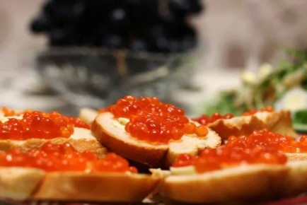 Как отличить настоящую икру от подделки: помочь может кошка