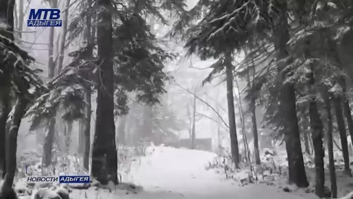 Первые в декабре заморозки зафиксировали в Адыгее в ночное время, а в горах пошел снег
