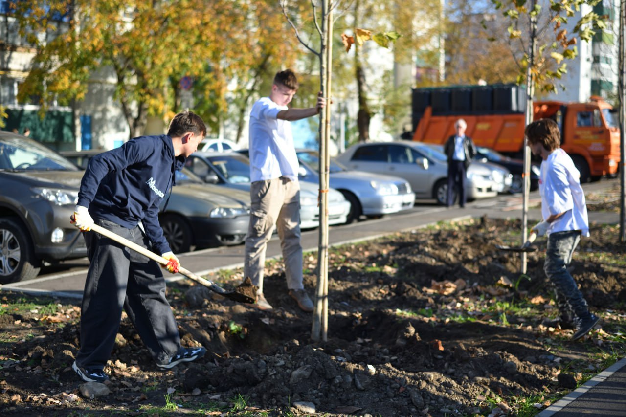 В Адыгее в 2026 году планируют высадить около 10 тысяч деревьев В Адыгее в 2026 году планируют высадить около 10 тысяч деревьев