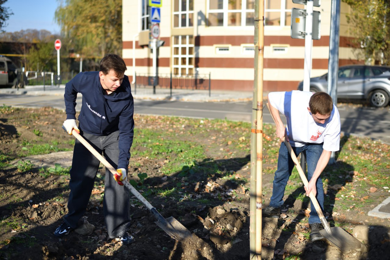 В Адыгее в 2026 году планируют высадить около 10 тысяч деревьев В Адыгее в 2026 году планируют высадить около 10 тысяч деревьев