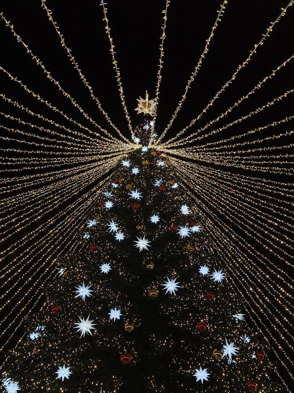 То, чего вы не знали о новой иллюминации на площади им. Ленина в Майкопе То, чего вы не знали о новой иллюминации на площади им. Ленина в Майкопе