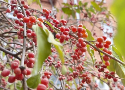 18 ������� � ������ ���������� ����������