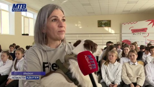 В 22 майкопской гимназии прошла встреча учеников младших классов с волонтерами, которые помогают брошенным домашним животным