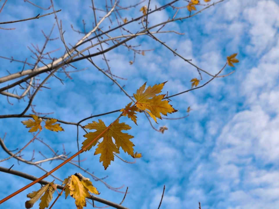 19 ������� � ������ ���������� ����������