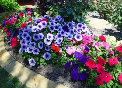 ��� ������� �������� �������: ������� ��������� ����� �� ����������