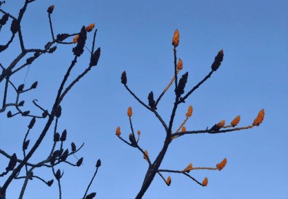 21 ������� � ������ ���������� ����������