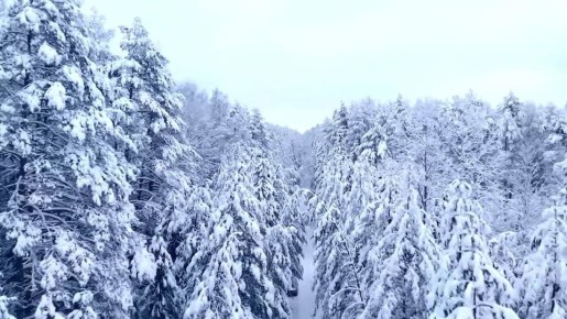 ������ ����!. ������ � ���������� �������, 20 �������