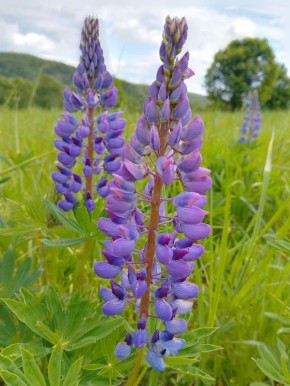 ���������� ��������: �� ����� ������� ����� ���������� � ����� ����