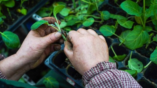 ������ �� ������� ������� � ������� ��-��� ������: ���������� ������� �����