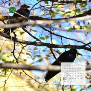 ������ ����!. 22 ������� � ������ ��������� ���������� ����������