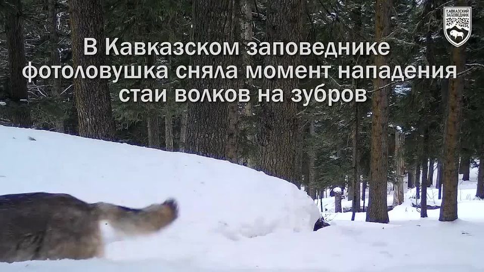 ������ �� ������ �������� ����� �����������, ����� ������� ����� �������� ������� �� ��������