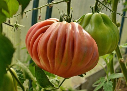 ��������� ������: ������������ ����� ��� ������ �����