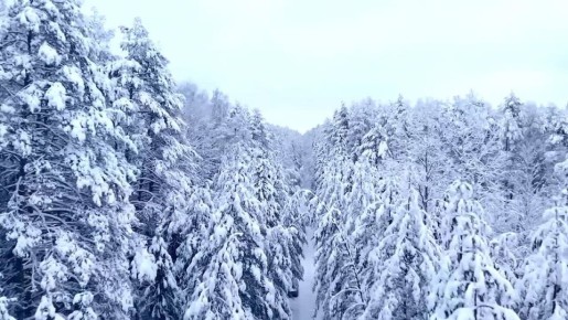 ������ ����!. ������ � ���������� �������, 23 �������