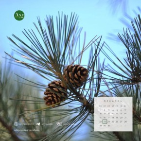 ������ ����!. 23 ������� � ������ ������� ��������� ���� � ������