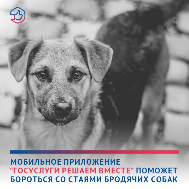 ������ ������ ����� �������� � ��������������� �������� ����� ����� ��������� ���������� ����������. ������ ������