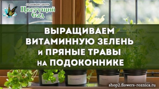 ��� ��������� ���������� ������ �� �����������: ������ � ������������