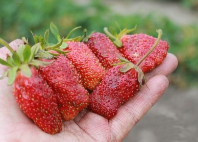 ����������: ���������� ����� ��� ������ ����