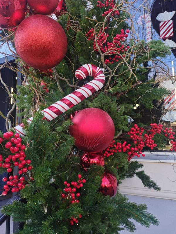 ������ � ������� �� 24 �������: