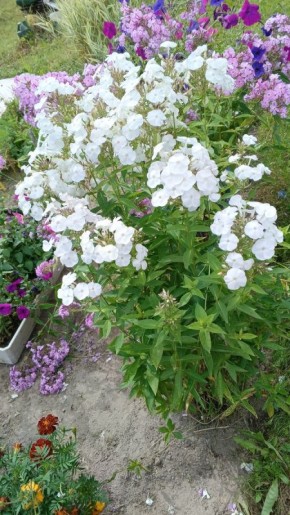 ��� 30 ����� � ���� ����� ����������� ���� ����� �� ������