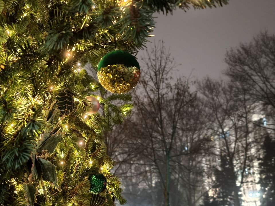 26 ������� � ������ �������� ������ ���� � ������