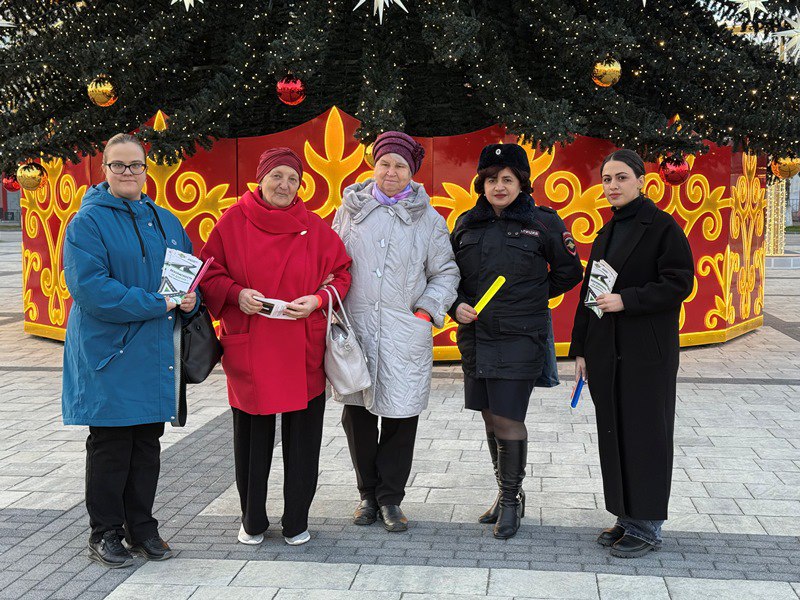 Накануне Нового года сотрудники Госавтоинспекции МВД по Адыгее провели профилактическую акцию по безопасности дорожного движения