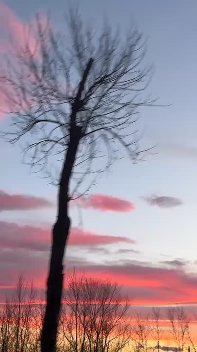 �������� ����������� �����