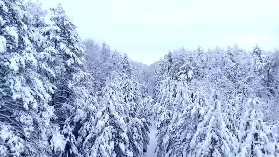 ������ ����!. ������ � ���������� �������, 26 �������