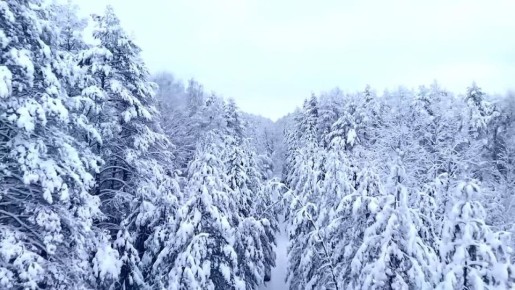 ������ ����!. ������ � ���������� �������, 26 �������