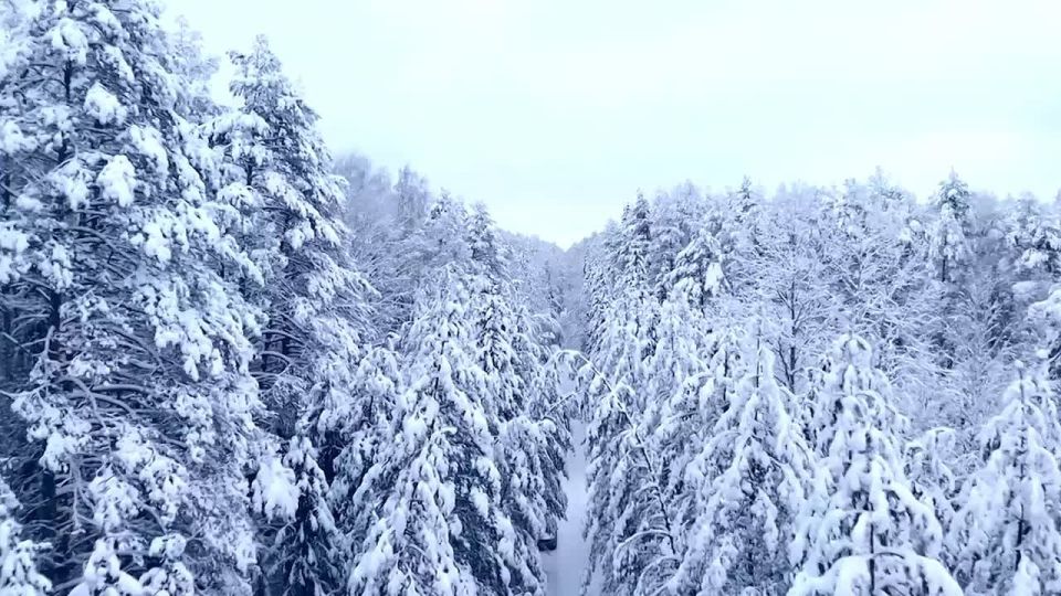 ������ ����!. ������ � ���������� �������, 27 �������