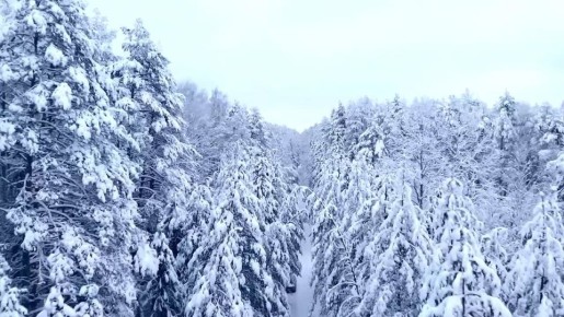 ������ ����!. ������ � ���������� �������, 27 �������