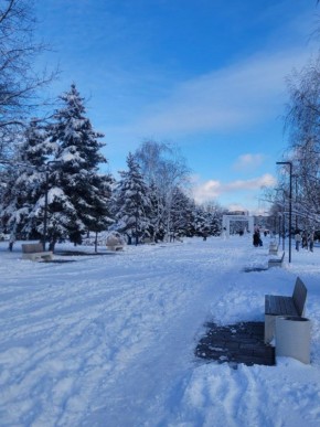 ��������� ���� ������ � ������