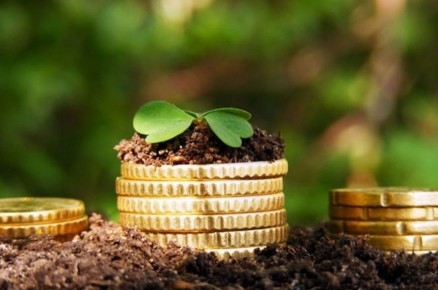 ������ �� ��������� �����: ��� �������� ������ �� 100% ��� ����������� � ���������