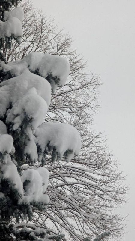 Ловите главный подарок к Новому году