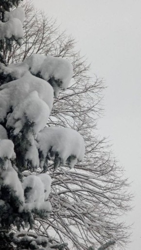 Ловите главный подарок к Новому году