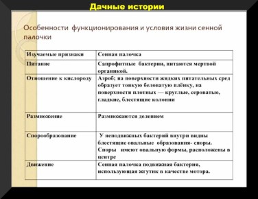 ��� ������ ������� �������� ��������� �������� ������: ��������� � ������������� �������������