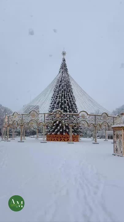 КIымафэр Мыекъуапэ иурамхэм *