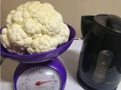 ������� ����������� �������� ������: ����� � ��� �������� ������