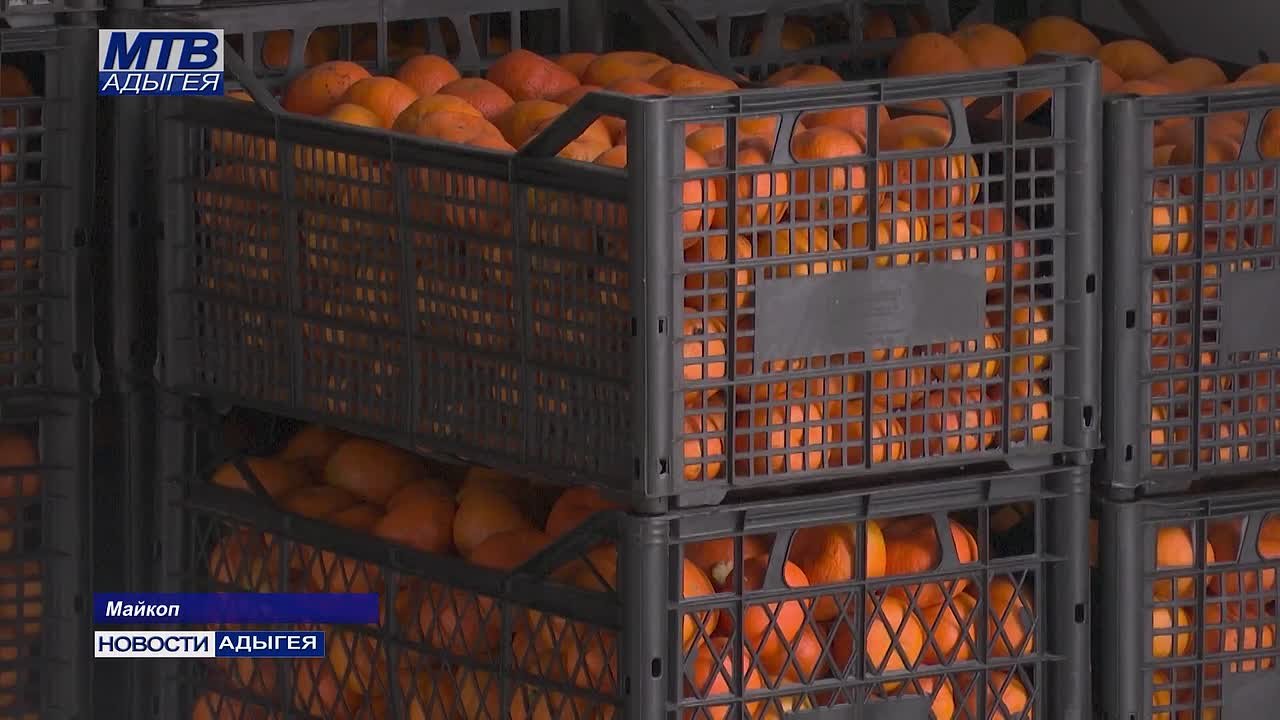 Очередная партия гуманитарного груза собрана в Адыгее при активной поддержке партии «Единая Россия»