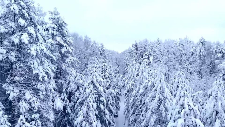 ������ ����!. ������ � ���������� �������, 30 �������