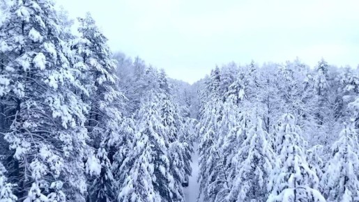 ������ ����!. ������ � ���������� �������, 30 �������