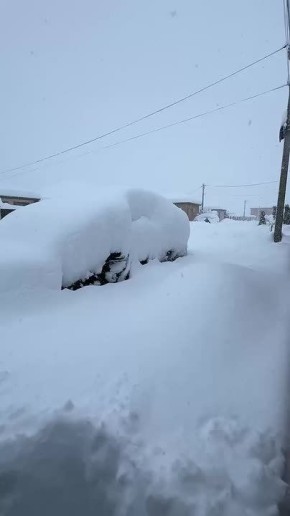 ������ ������� � �����, �� �������� ������ ����������� �� 17 �����, �� ������ ����� ����� ������������