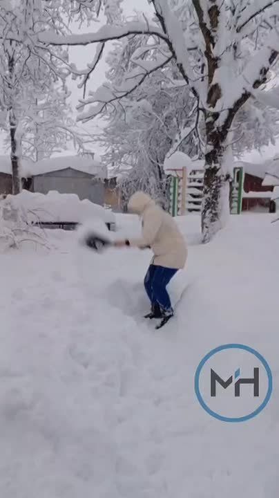 �������� �������� ���������� ������ �� �����