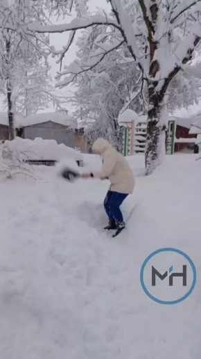 �������� �������� ���������� ������ �� �����