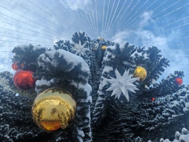 ������� � ������� �� 31 �������: