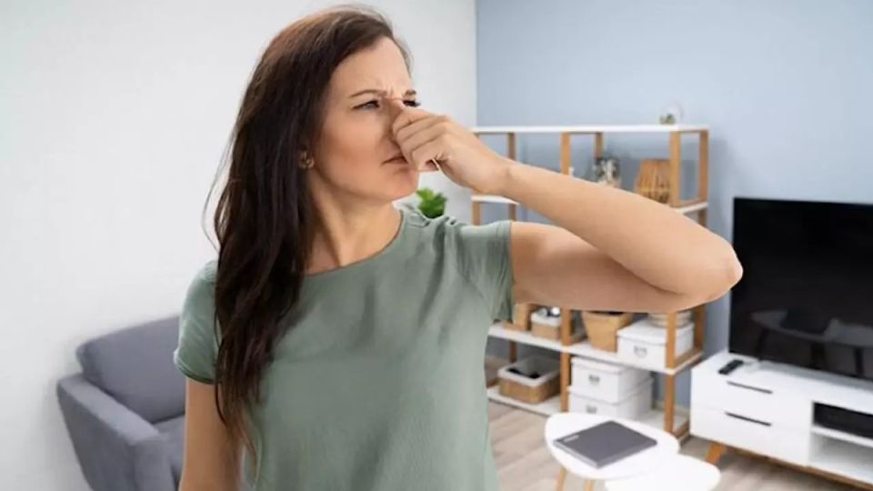 Как избавиться от затхлого запаха в квартире: эффективные советы