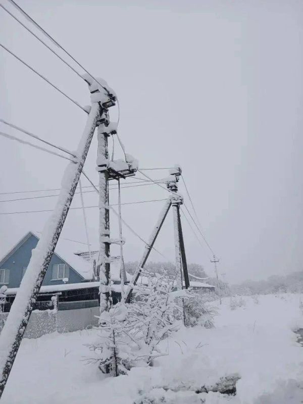 ���������� ���������� ������� ������������ �� �������� ������ ��������� ������� ������ � ������ � �������� ������������������� ������ ��������������