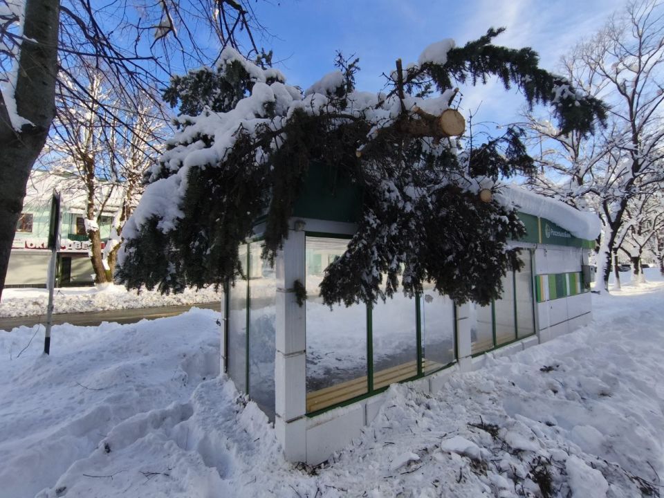 Кадры журналистов «СА» с улиц Майкопа, где идёт ликвидация последствий снегопада