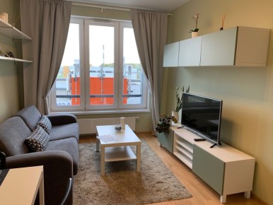 ����� �����������: ��� �������� ����������� �� ������ ����� � 2026 ����